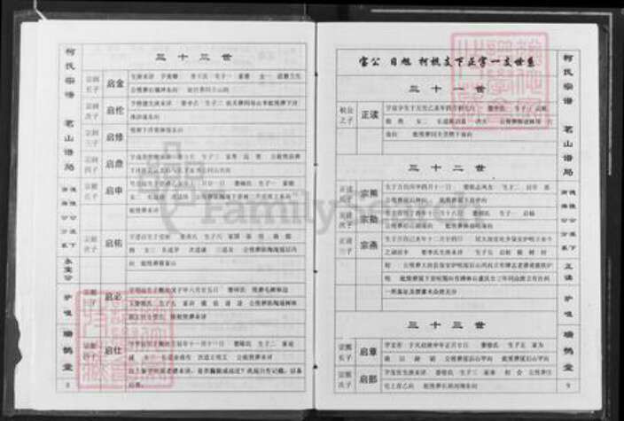 江西省九江市瑞昌市乐园乡柯氏瑞鹊堂族谱-柯氏宗谱.pdf电子版预览图5