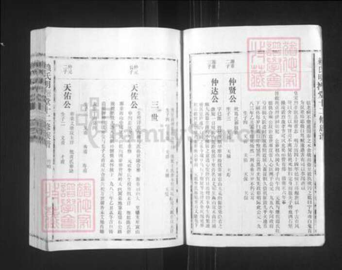 江西省赣州市石城县赖氏明禋堂族谱-赖氏明禋堂十二修族谱.pdf电子版预览图2