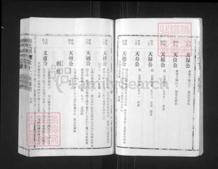 江西省赣州市石城县赖氏明禋堂族谱-赖氏明禋堂十二修族谱.pdf电子版预览图3