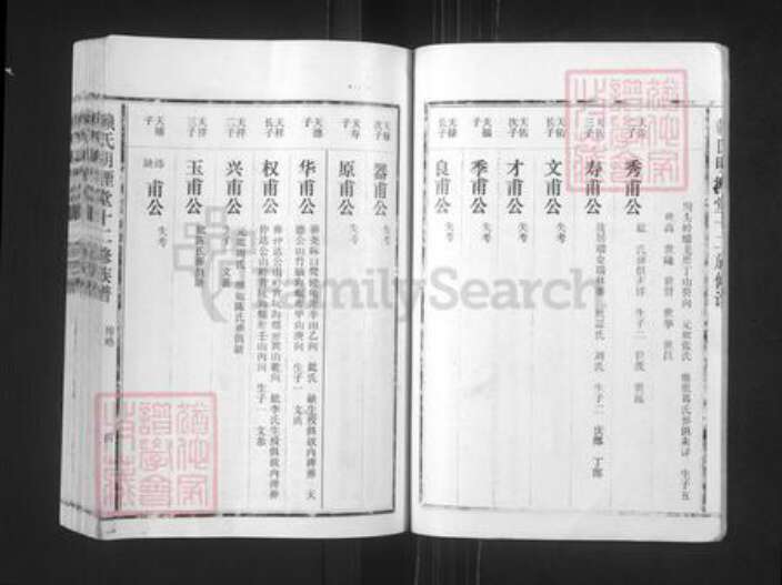 江西省赣州市石城县赖氏明禋堂族谱-赖氏明禋堂十二修族谱.pdf电子版预览图4