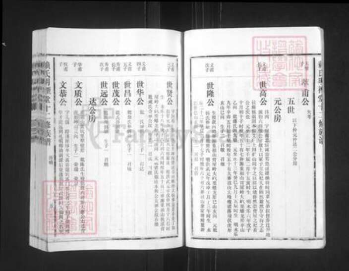 江西省赣州市石城县赖氏明禋堂族谱-赖氏明禋堂十二修族谱.pdf电子版预览图5