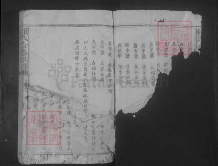 福建省赖氏族谱-赖氏合修族谱 [不分卷].pdf电子版预览图3