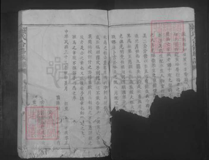 福建省赖氏族谱-赖氏合修族谱 [不分卷].pdf电子版预览图5