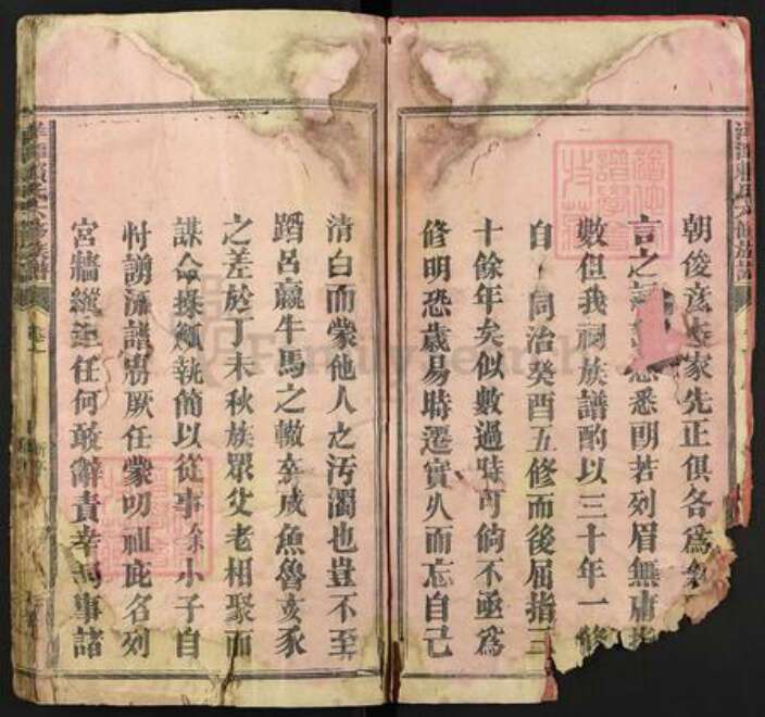 江西省新余市渝水区观巢镇赖氏族谱-洋潭赖氏六修族谱.pdf电子版预览图2