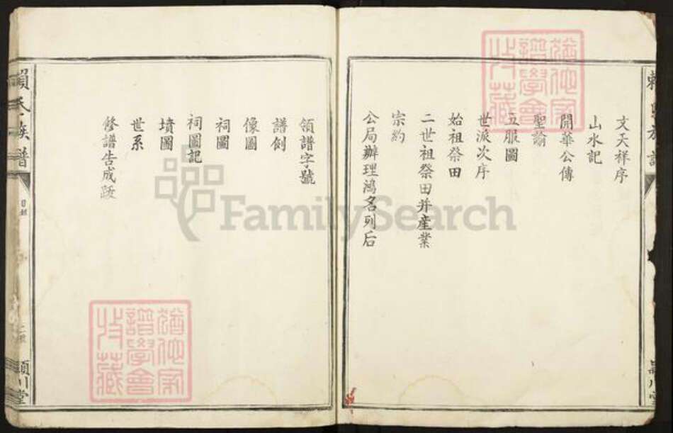 江西省赣州市寻乌县留车镇赖氏颖川堂族谱-赖氏族谱.pdf电子版预览图2