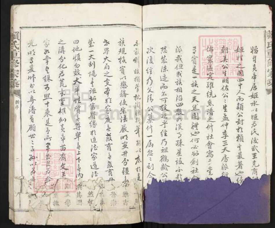 福建省龙岩市永定区合溪乡赖氏族谱-赖氏重修家乘.pdf电子版预览图3