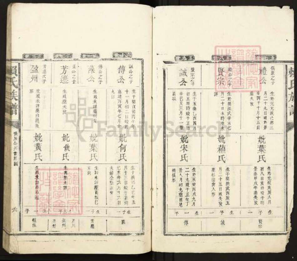 江西省赣州市赣县区赖氏族谱-赖氏族谱.pdf电子版预览图4