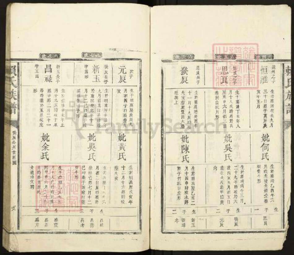 江西省赣州市赣县区赖氏族谱-赖氏族谱.pdf电子版预览图5