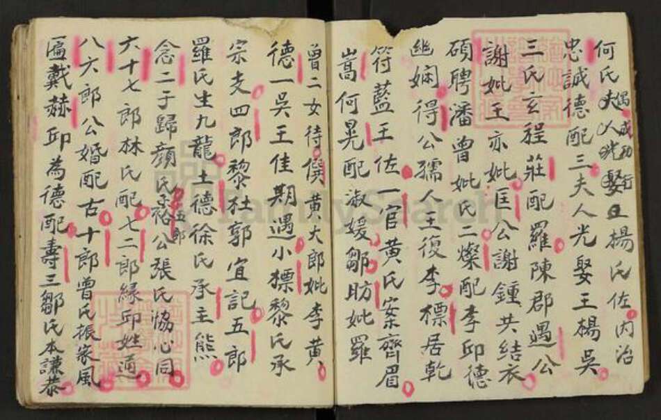 江西省吉安市遂川县左安镇赖氏松阳堂族谱-赖氏族系.pdf电子版预览图2