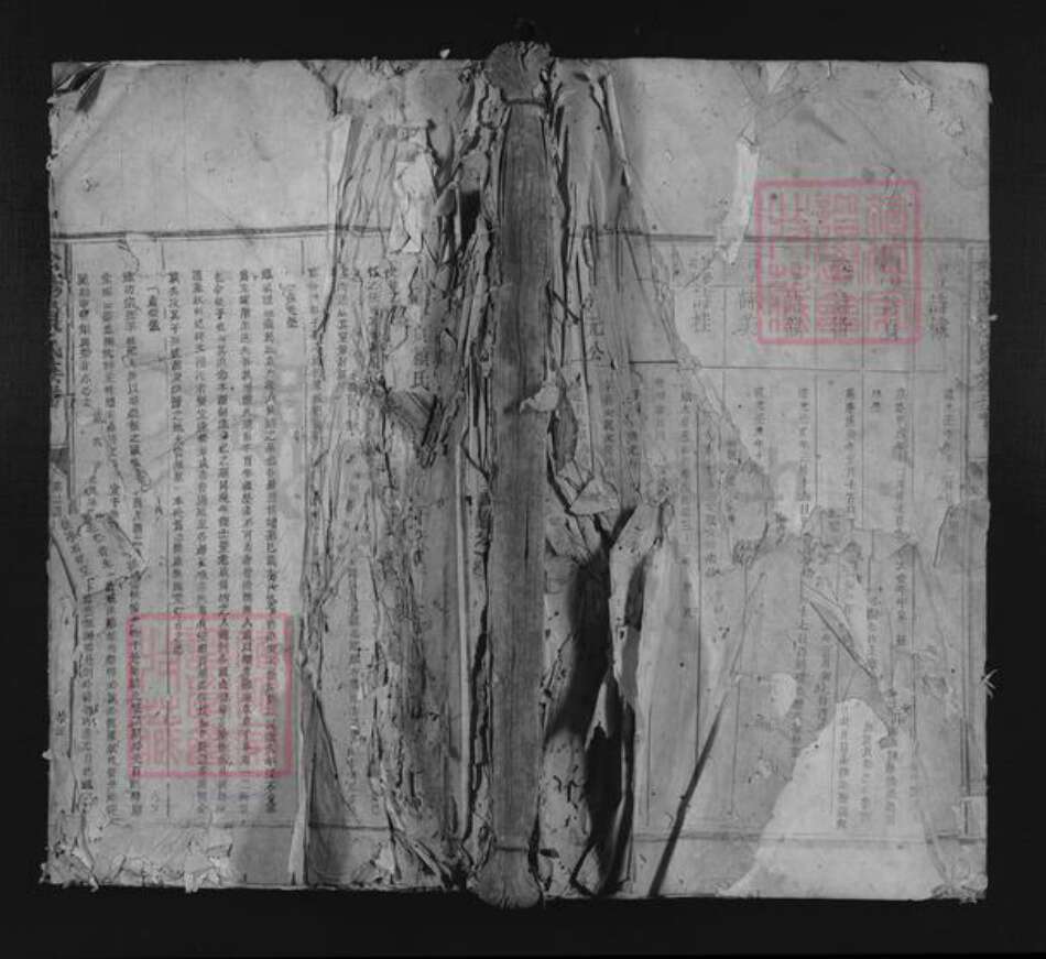 江西省赣州市赖氏族谱-松阳赖氏族谱.pdf电子版缩略图