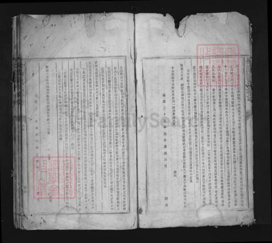 江西省赣州市赖氏族谱-松阳赖氏族谱.pdf电子版预览图5