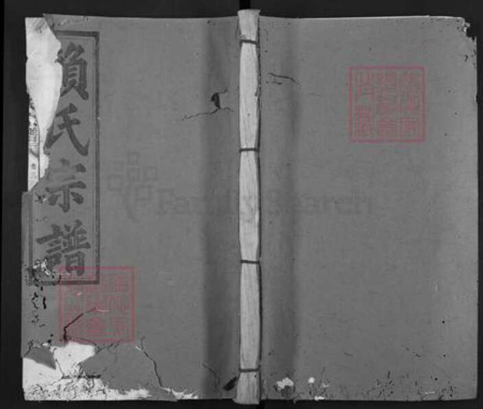 福建省龙岩市上杭县赖氏颍川堂族谱-赖氏宗谱.pdf电子版缩略图