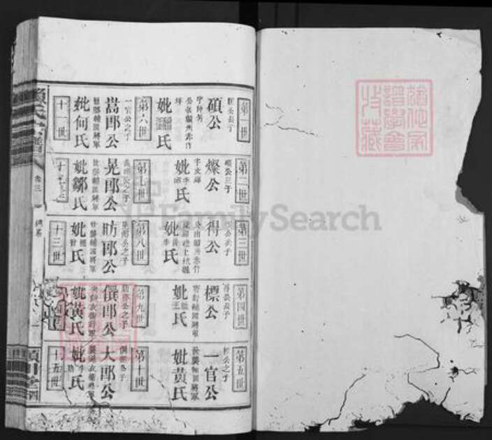 福建省龙岩市上杭县赖氏颍川堂族谱-赖氏宗谱.pdf电子版预览图1