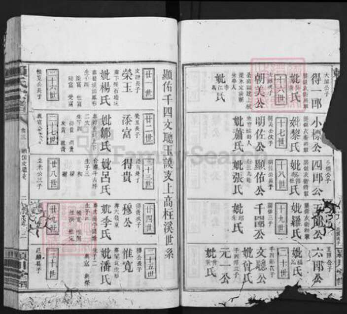 福建省龙岩市上杭县赖氏颍川堂族谱-赖氏宗谱.pdf电子版预览图2