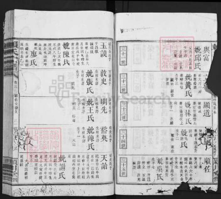 福建省龙岩市上杭县赖氏颍川堂族谱-赖氏宗谱.pdf电子版预览图3