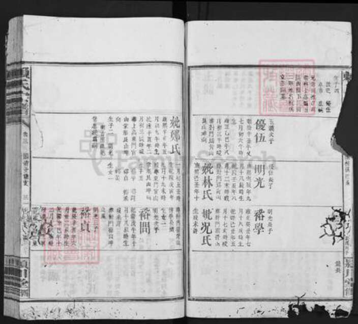 福建省龙岩市上杭县赖氏颍川堂族谱-赖氏宗谱.pdf电子版预览图4