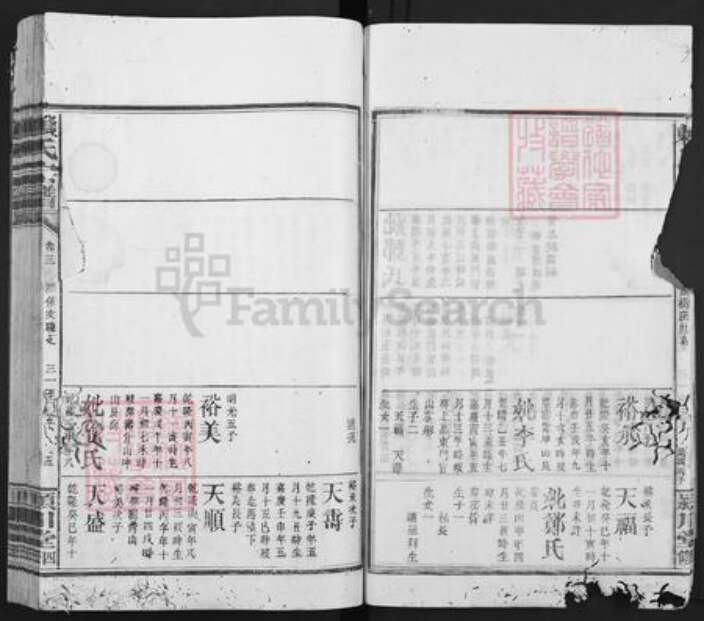 福建省龙岩市上杭县赖氏颍川堂族谱-赖氏宗谱.pdf电子版预览图5