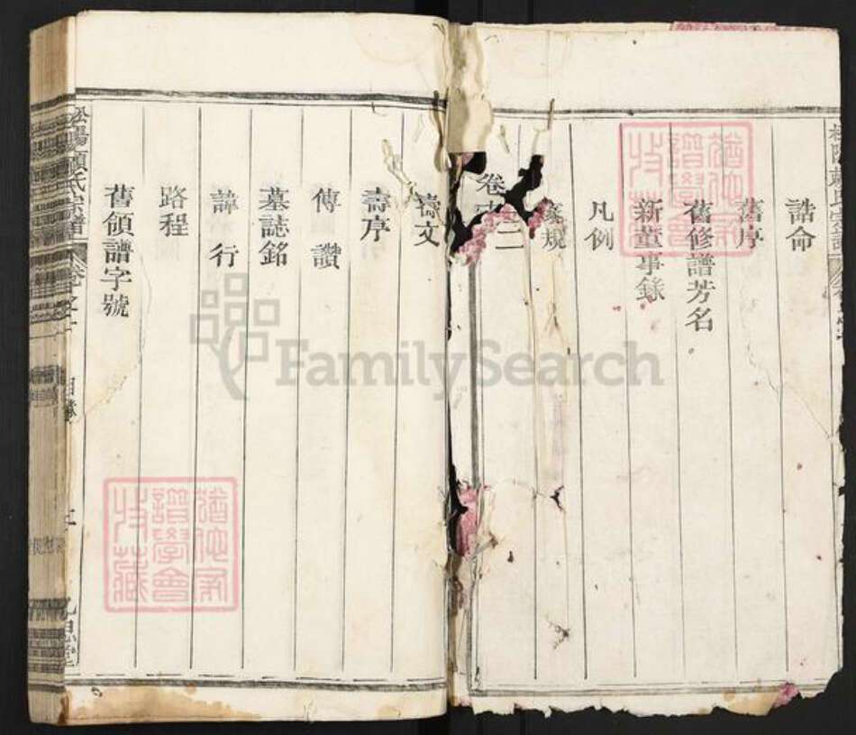 福建省龙岩市上杭县古田镇赖氏九思堂族谱-松阳赖氏世谱.pdf电子版预览图2