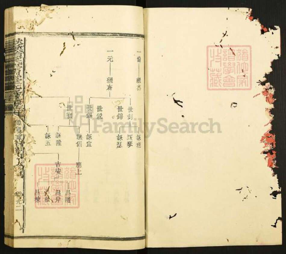 江西省赣州市章贡区赣江街道赖氏崇恩堂族谱-秋溪松阳赖氏崇恩堂七修族谱.pdf电子版预览图1