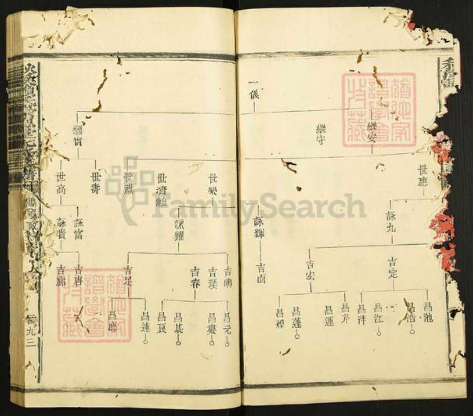 江西省赣州市章贡区赣江街道赖氏崇恩堂族谱-秋溪松阳赖氏崇恩堂七修族谱.pdf电子版预览图2