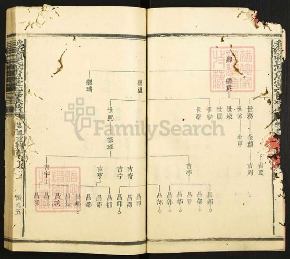 江西省赣州市章贡区赣江街道赖氏崇恩堂族谱-秋溪松阳赖氏崇恩堂七修族谱.pdf电子版预览图4