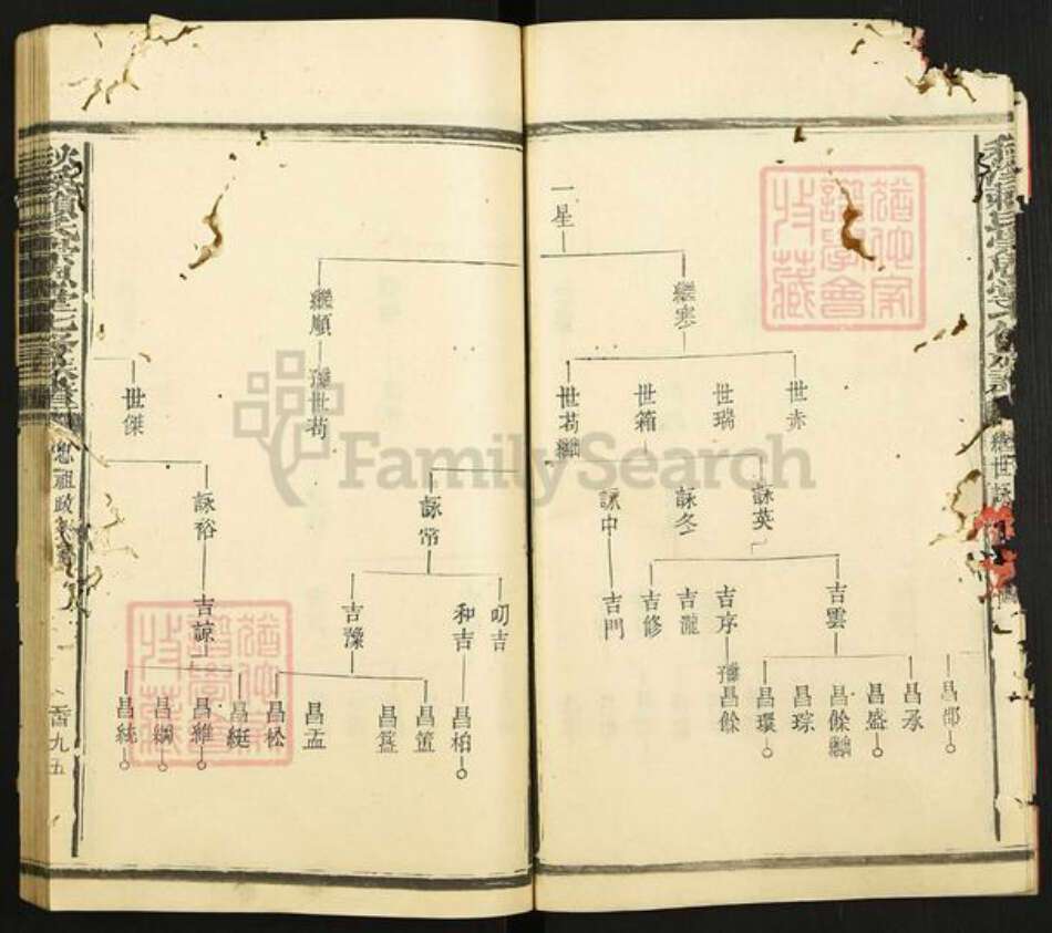 江西省赣州市章贡区赣江街道赖氏崇恩堂族谱-秋溪松阳赖氏崇恩堂七修族谱.pdf电子版预览图5