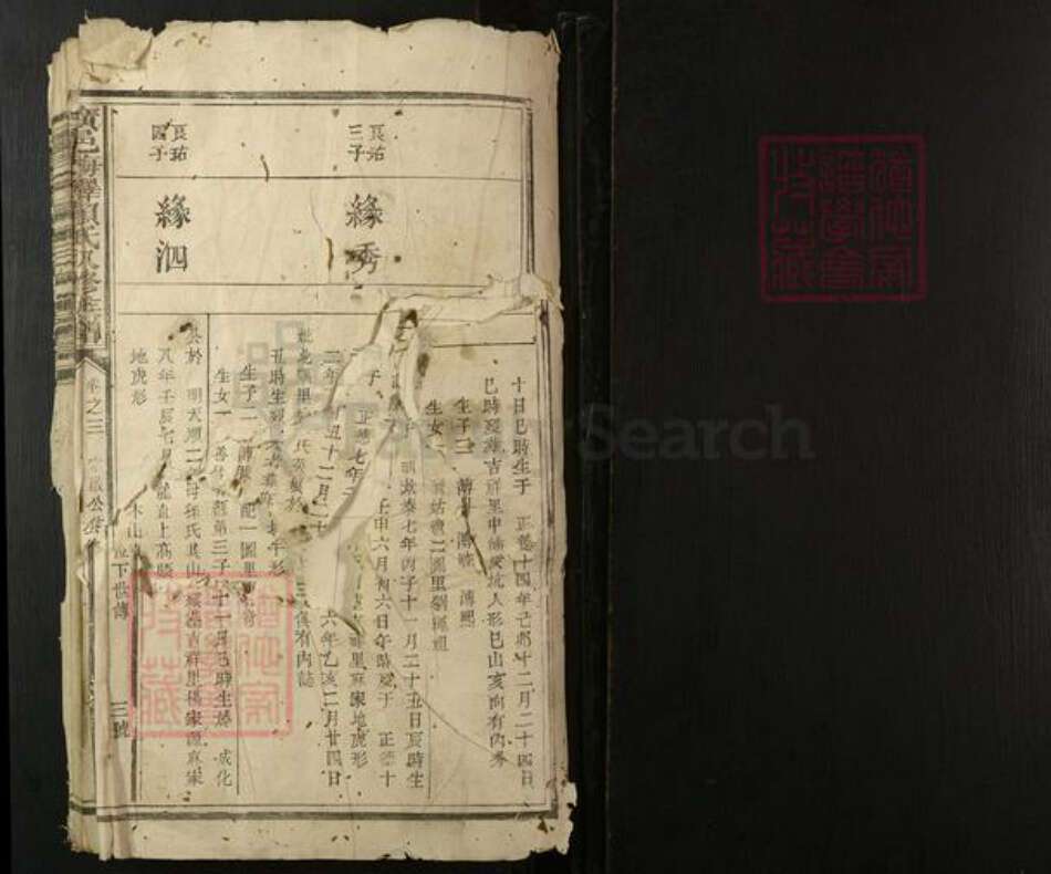 江西省抚州市广昌县广东省梅州市赖氏族谱-广邑梅驿赖氏八修族谱.pdf电子版预览图1