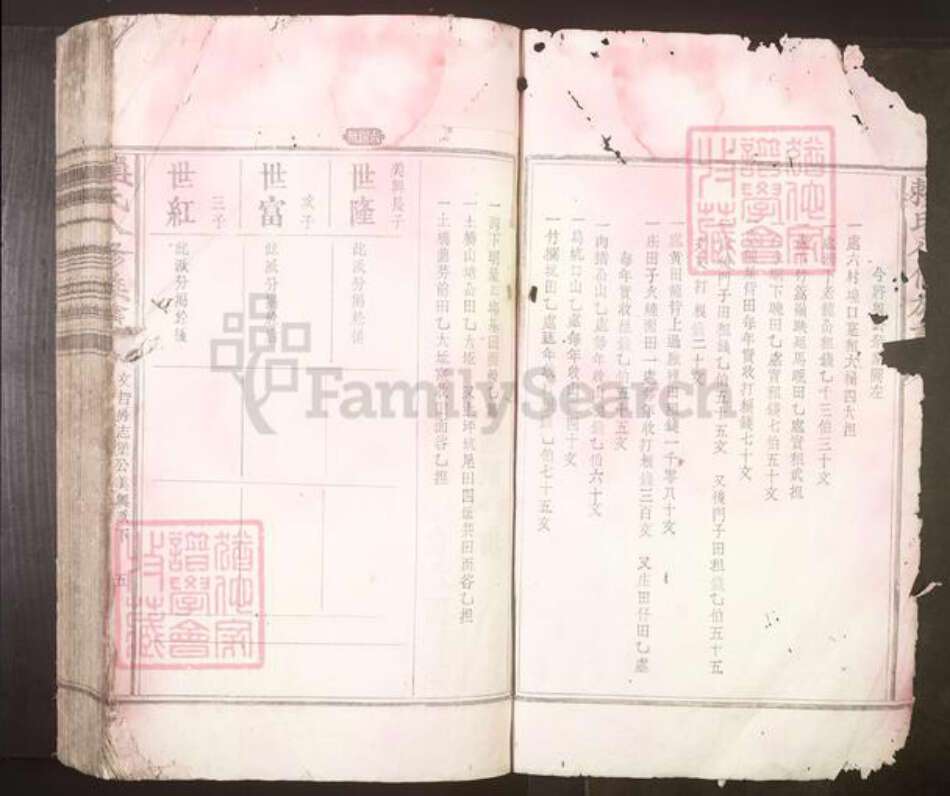 江西省吉安市赖氏族谱-赖氏八修族谱[不分卷].pdf电子版预览图2