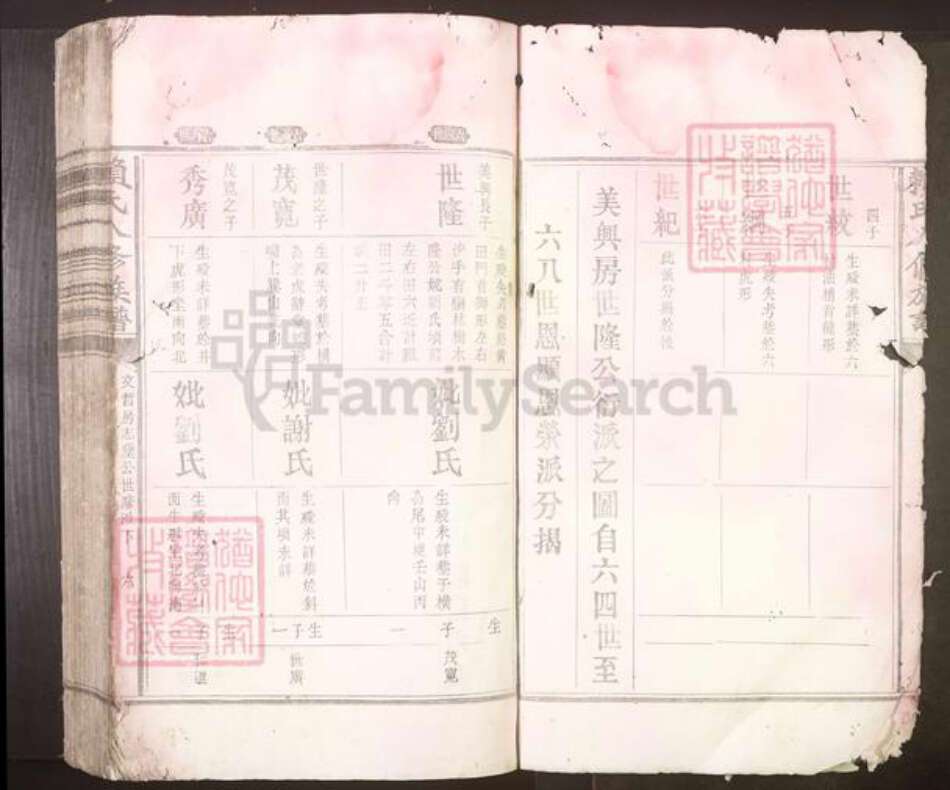 江西省吉安市赖氏族谱-赖氏八修族谱[不分卷].pdf电子版预览图3