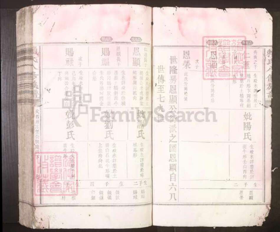 江西省吉安市赖氏族谱-赖氏八修族谱[不分卷].pdf电子版预览图4