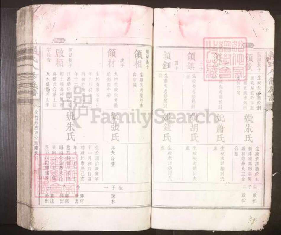 江西省吉安市赖氏族谱-赖氏八修族谱[不分卷].pdf电子版预览图5