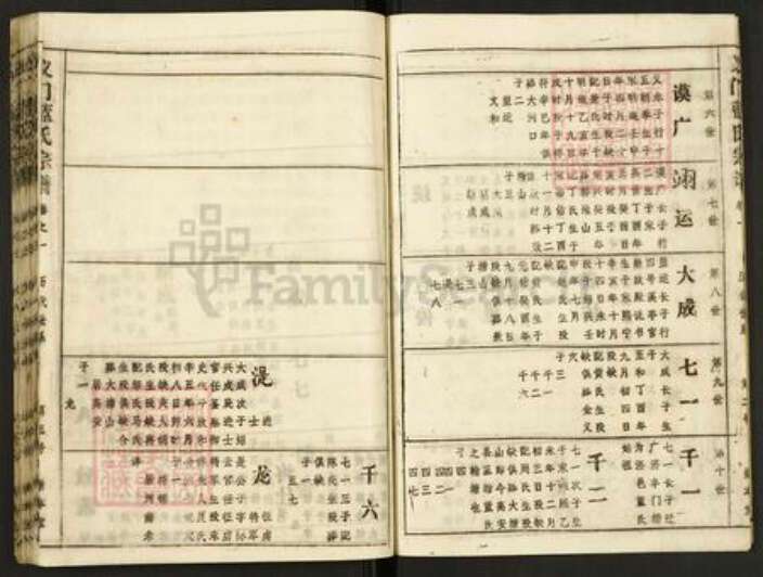 湖北省黄冈市武穴市蓝氏崇本堂族谱-义门蓝氏宗谱.pdf电子版预览图4