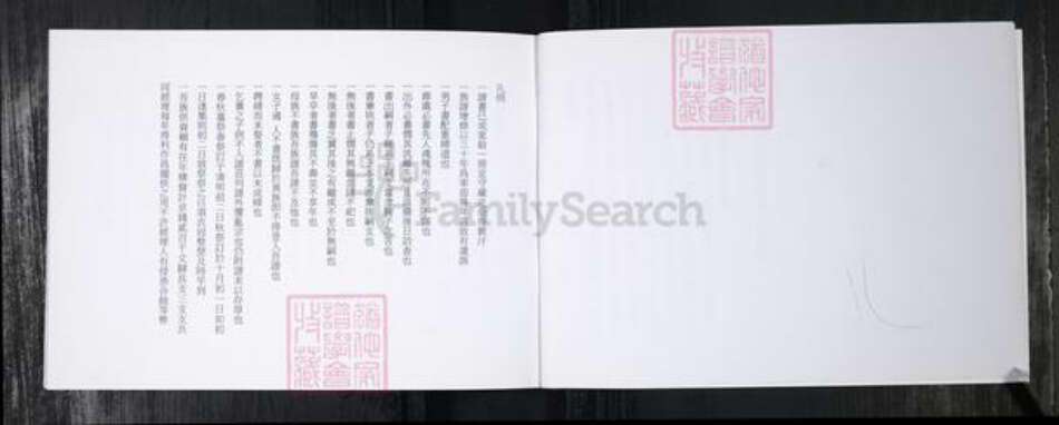 山东省青岛市蓝氏族谱-蓝氏族谱.南龙湾.pdf电子版预览图4