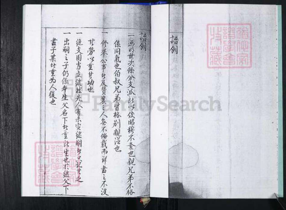 山东省青岛市崂山区蓝氏族谱-大麦岛蓝氏族谱.pdf电子版预览图4