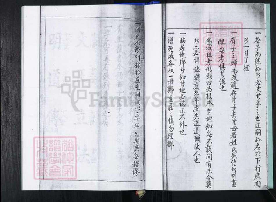 山东省青岛市崂山区蓝氏族谱-大麦岛蓝氏族谱.pdf电子版预览图5