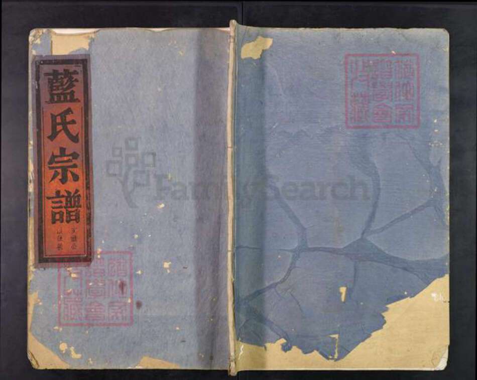 浙江省台州市临海市括苍镇蓝氏族谱-汝南蓝氏宗谱.pdf电子版缩略图