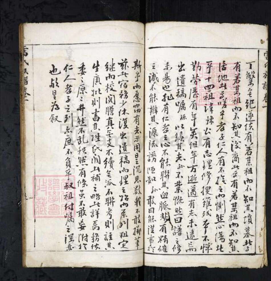 湖北省孝感市大悟县雷氏族谱-雷氏族谱[不分卷].pdf电子版预览图2