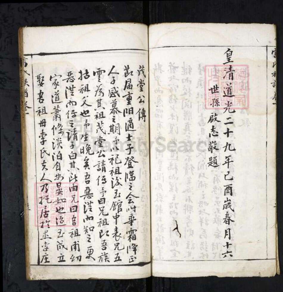 湖北省孝感市大悟县雷氏族谱-雷氏族谱[不分卷].pdf电子版预览图3