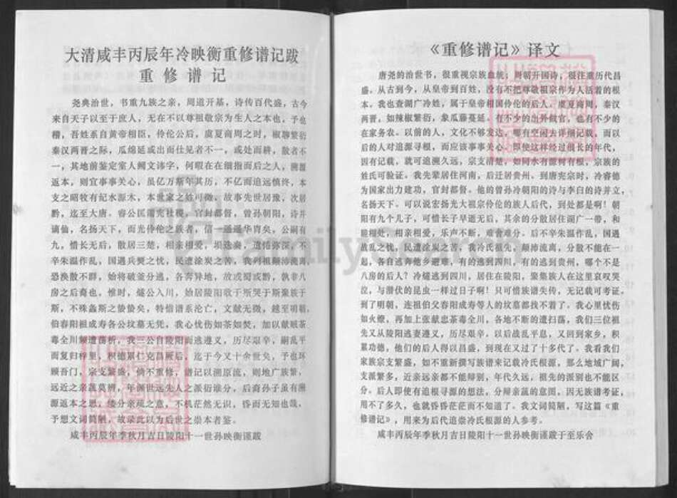 四川省眉山市仁寿县冷氏族谱-仁寿冷氏族谱.pdf电子版预览图4