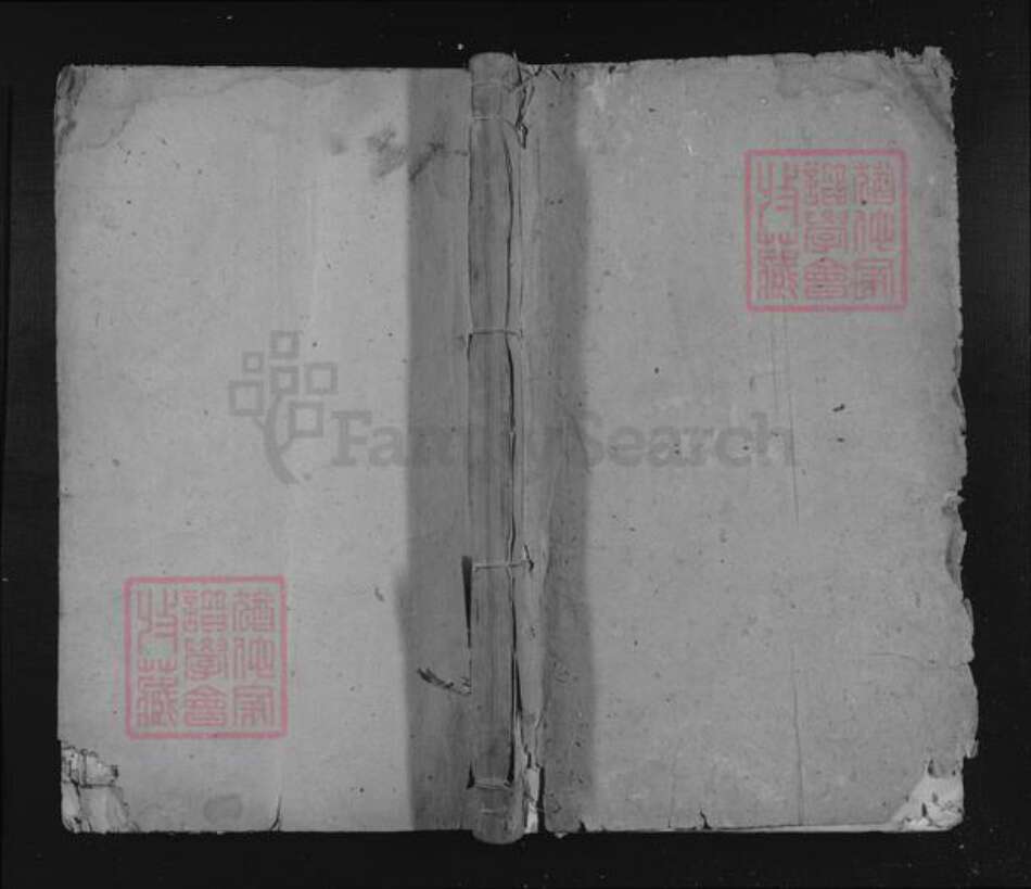 江西省九江市湖口县黎氏族谱-黎氏宗谱.pdf电子版缩略图