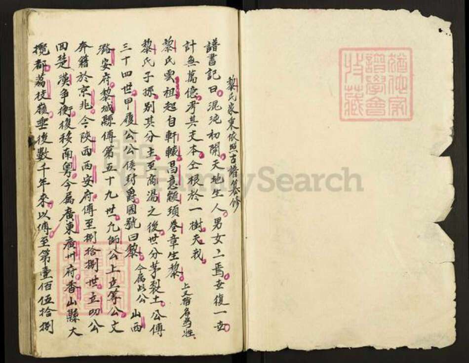 广东省中山市黎氏族谱-黎氏家谱.pdf电子版预览图2