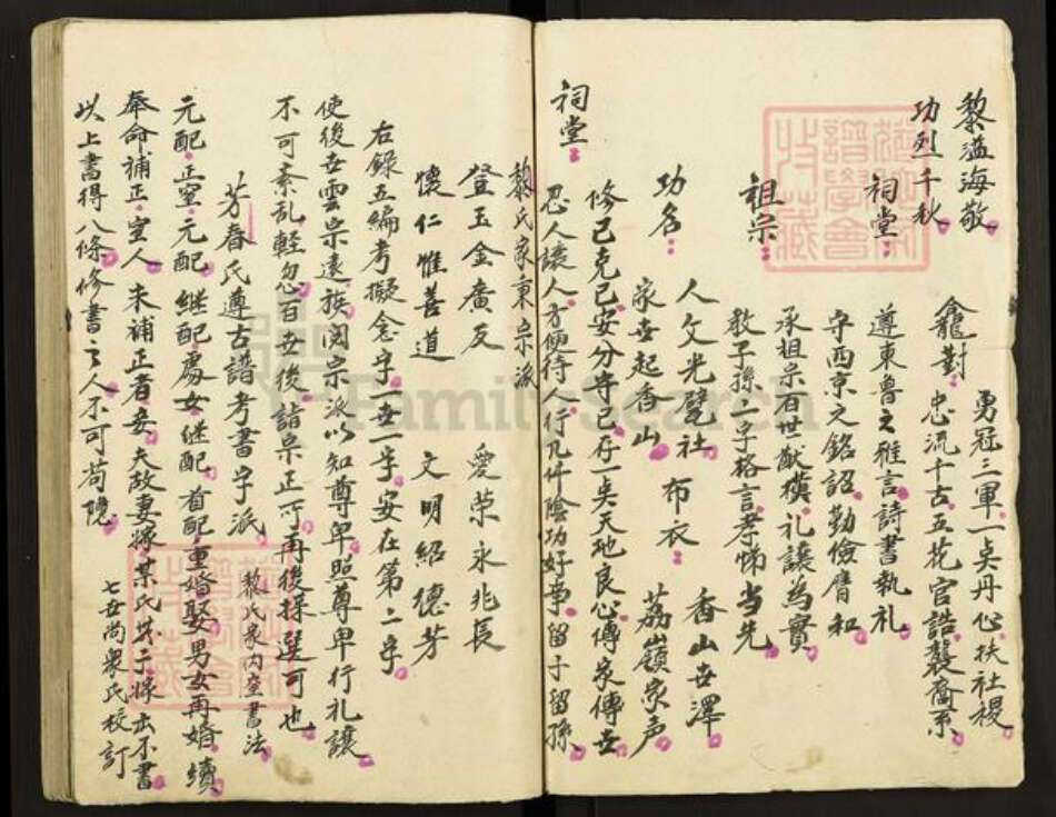 广东省中山市黎氏族谱-黎氏家谱.pdf电子版预览图5