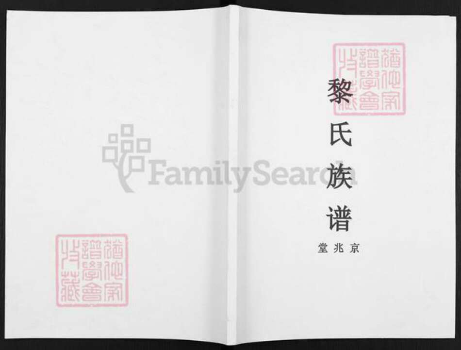 广东省韶关市仁化县董塘镇黎氏京兆堂族谱-黎氏族谱.pdf电子版缩略图