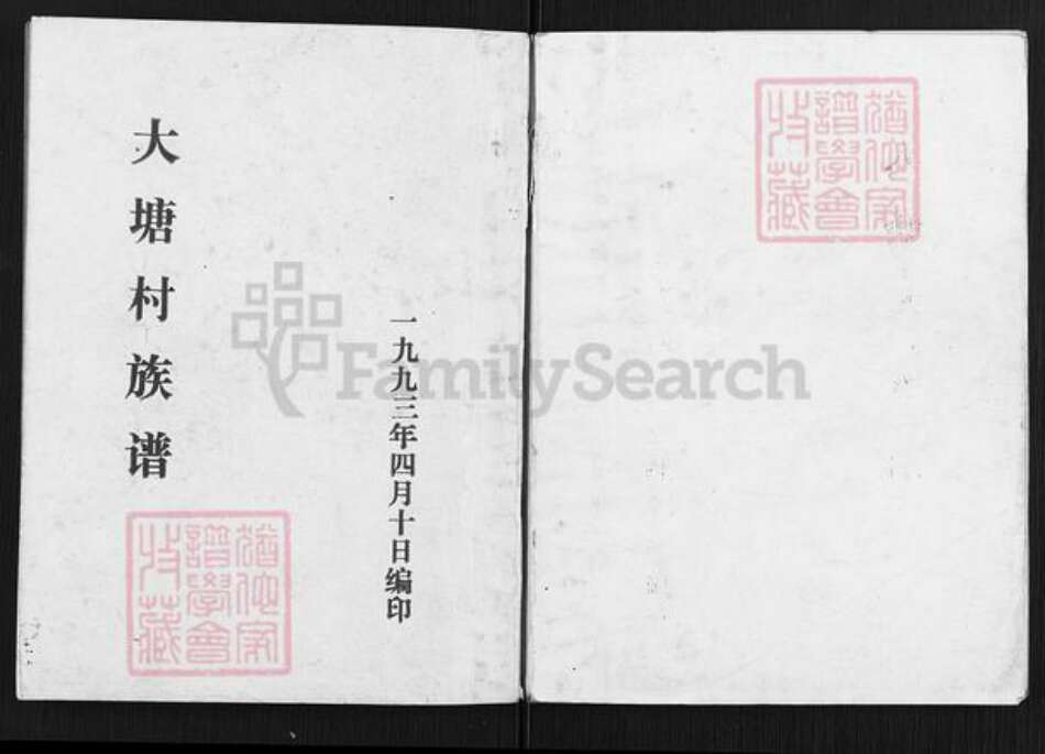 海南省儋州市木棠镇黎氏族谱-大塘村族谱.pdf电子版缩略图