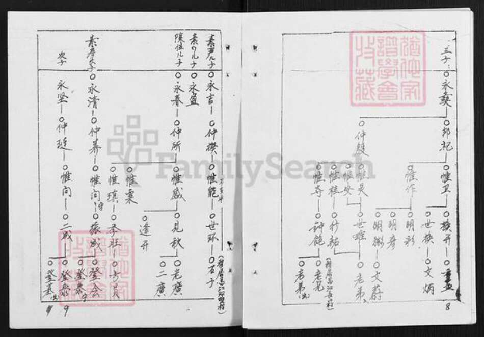 海南省儋州市木棠镇黎氏族谱-大塘村族谱.pdf电子版预览图5