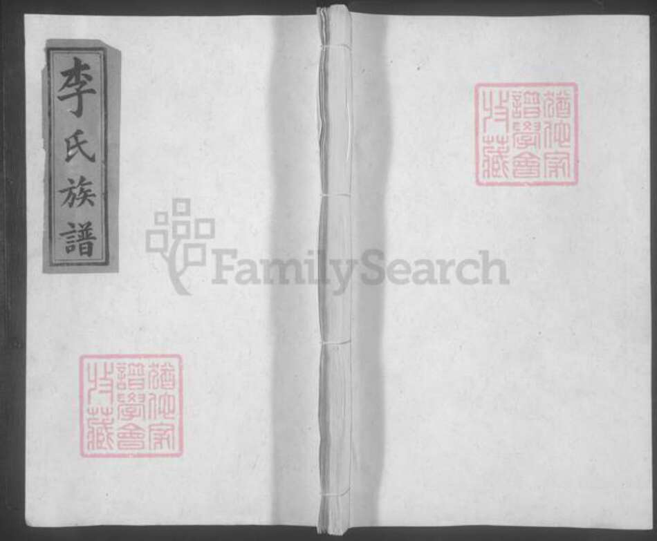 江西省宜春市奉新县李氏族谱-李氏宗谱 [10卷].pdf电子版缩略图