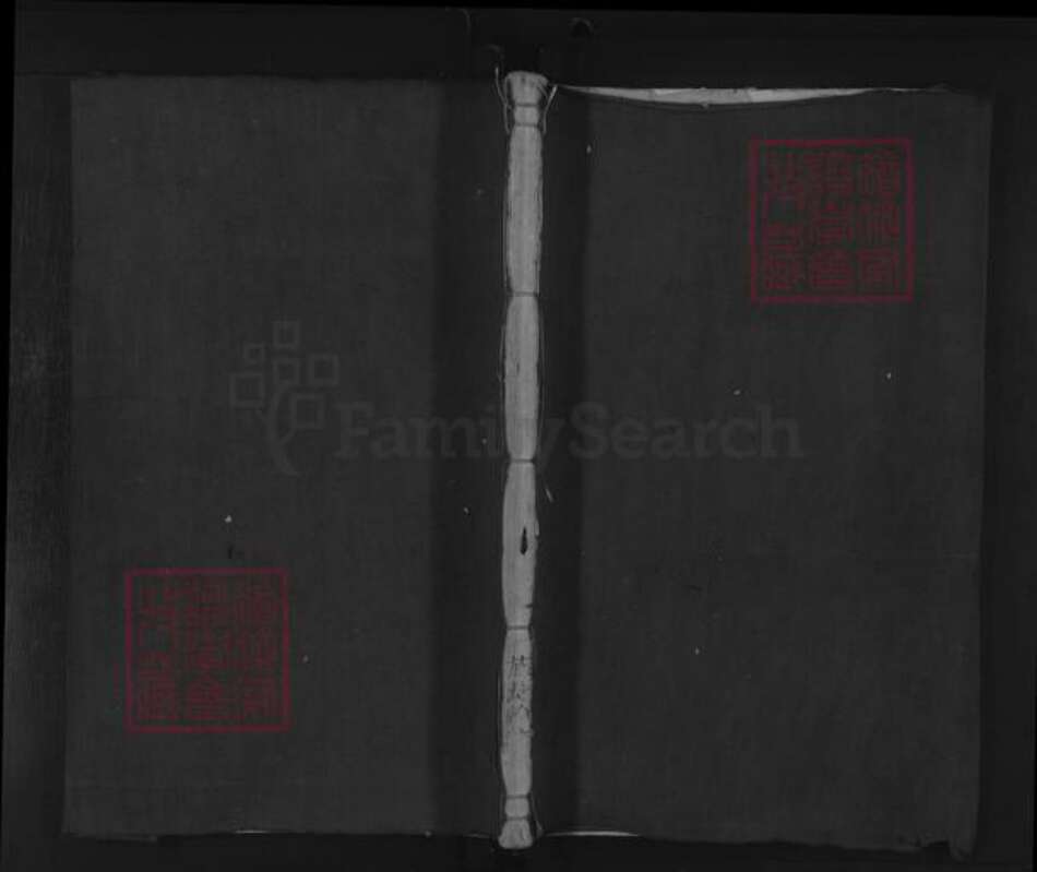 浙江省丽水市松阳县李氏族谱-李氏宗谱 [不分卷].pdf电子版缩略图