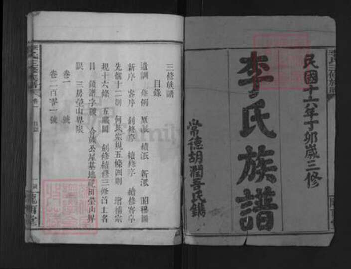 湖南省常德市武陵区李氏陇西堂族谱-李氏族谱.pdf电子版预览图1