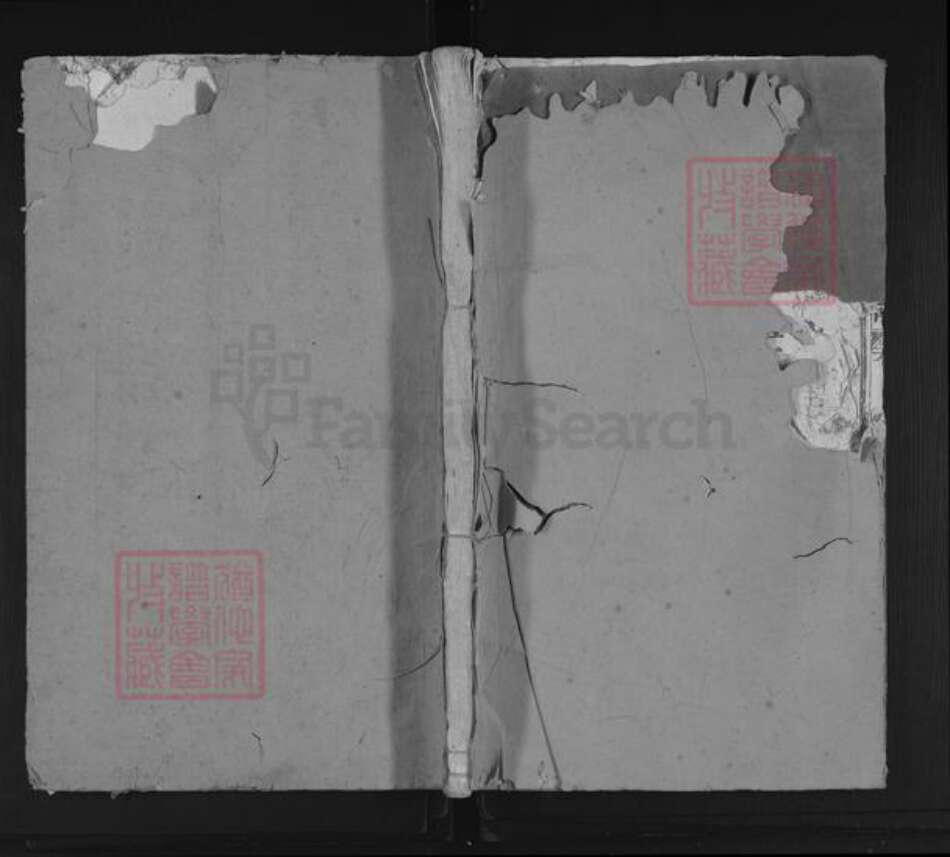 福建省三明市宁化县石壁镇李氏陇西堂族谱-李氏族谱.pdf电子版缩略图