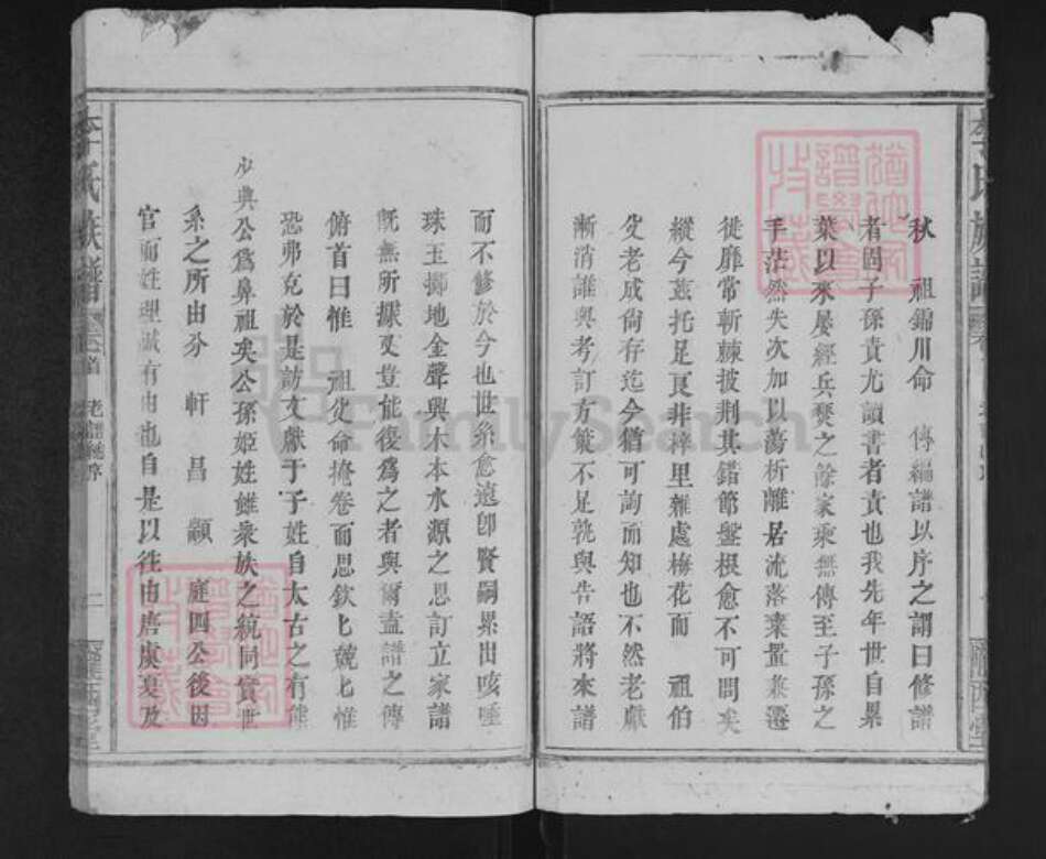 福建省三明市宁化县石壁镇李氏陇西堂族谱-李氏族谱.pdf电子版预览图4